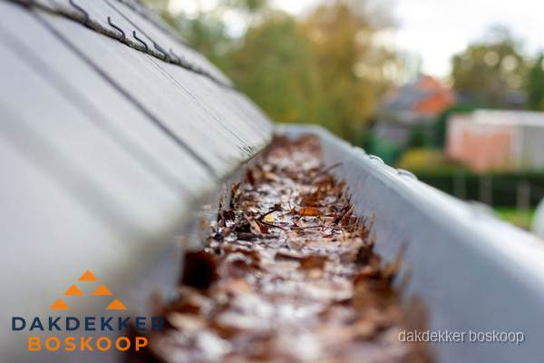 Verstopte dakgoot met bladeren schoonmaken in Boskoop Verstopte dakgoot met bladeren schoonmaken in Boskoop