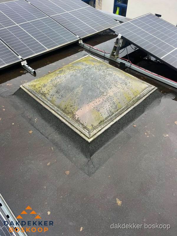 Vervuilde lichtkoepel op plat dak met zonnepanelen in Boskoop Vervuilde lichtkoepel op plat dak met zonnepanelen in Boskoop