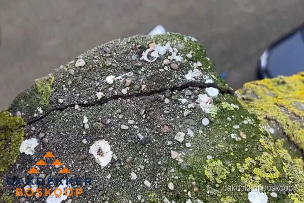 Beschadigde en verweerde nokvorst met scheuren en mos in Boskoop Beschadigde en verweerde nokvorst met scheuren en mos in Boskoop
