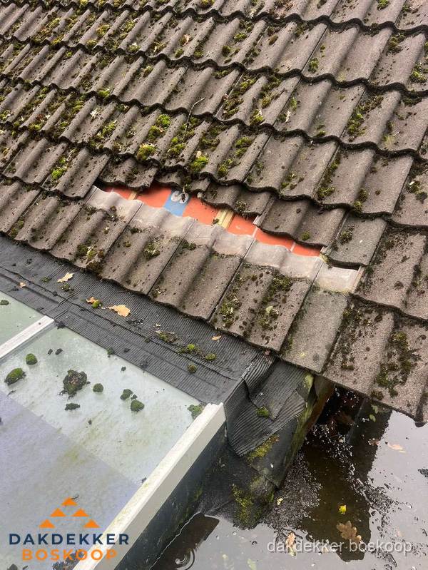Beschadigd pannendak met ontbrekende dakpannen voor reparatie in Boskoop Beschadigd pannendak met ontbrekende dakpannen voor reparatie in Boskoop