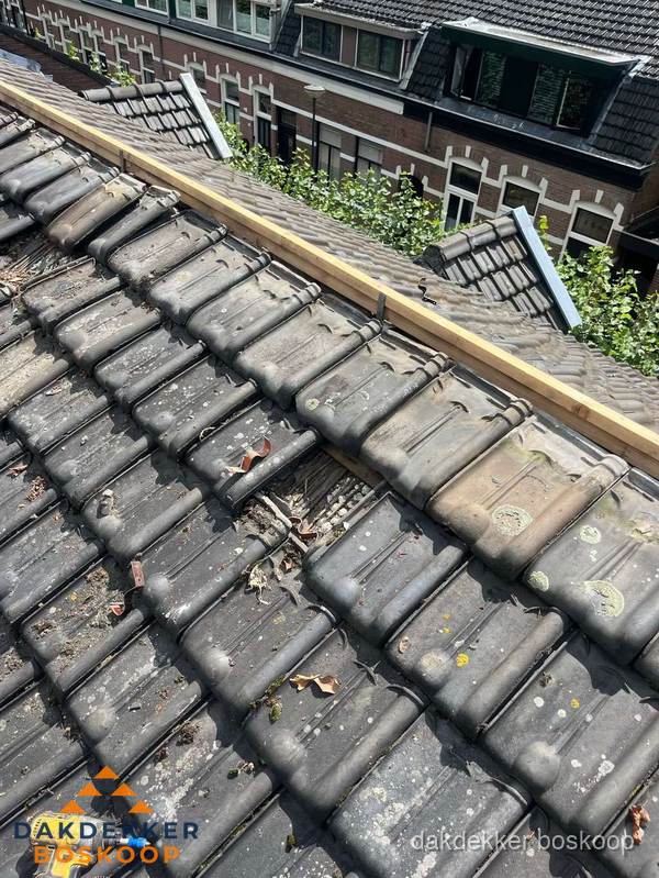 Dakonderhoud aan schuin pannendak met nokvernieuwing in Boskoop Dakonderhoud aan schuin pannendak met nokvernieuwing in Boskoop