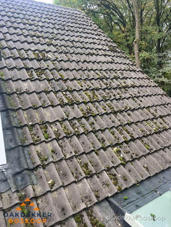 Verweerd pannendak met mosgroei dat renovatie nodig heeft in Boskoop Verweerd pannendak met mosgroei dat renovatie nodig heeft in Boskoop