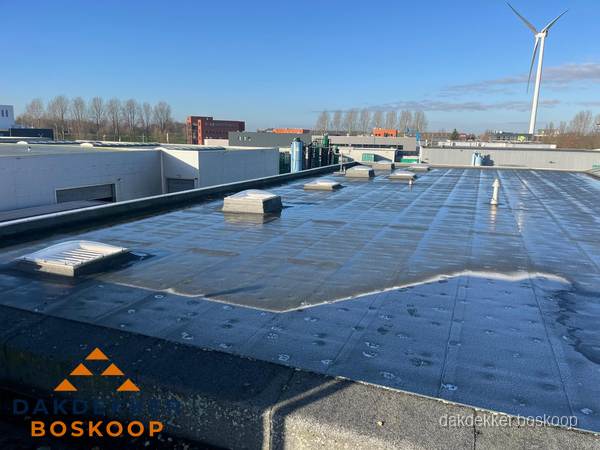 Plat dak bedrijfspand met bitumen dakbedekking en lichtkoepels in Boskoop Plat dak bedrijfspand met bitumen dakbedekking en lichtkoepels in Boskoop