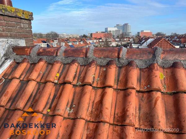 Pannendak met nokvorst en schoorsteen, dakrenovatie in Boskoop Pannendak met nokvorst en schoorsteen, dakrenovatie in Boskoop