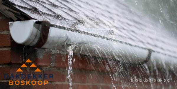 Lekkende dakgoot tijdens regenval in Boskoop Lekkende dakgoot tijdens regenval in Boskoop