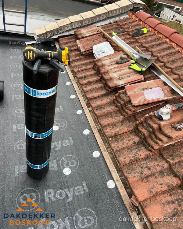 Dakschade herstel: pannendak renovatie in Boskoop
