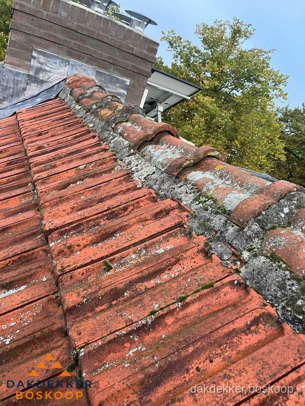 Verweerd hellend dak met mosgroei op nokvorst in Boskoop Verweerd hellend dak met mosgroei op nokvorst in Boskoop